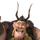 e-scouroub's avatar
